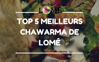 MEILLEURS SHAWARMAS