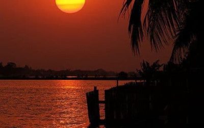 COUVRE-FEU : LES ACTIVITES A FAIRE CHEZ SOI DE 22H A 5H.