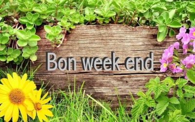 BONS PLANS DU WEEK-END DU 09 AU 11 JUILLET 2021