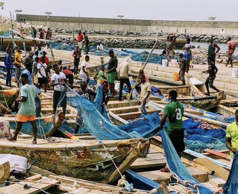 LE MARCHÉ DU PORT DE PÊCHE